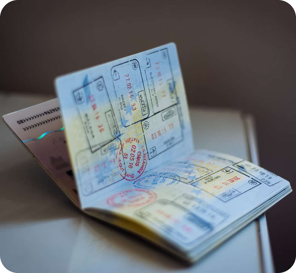 Traditional Visa Applications