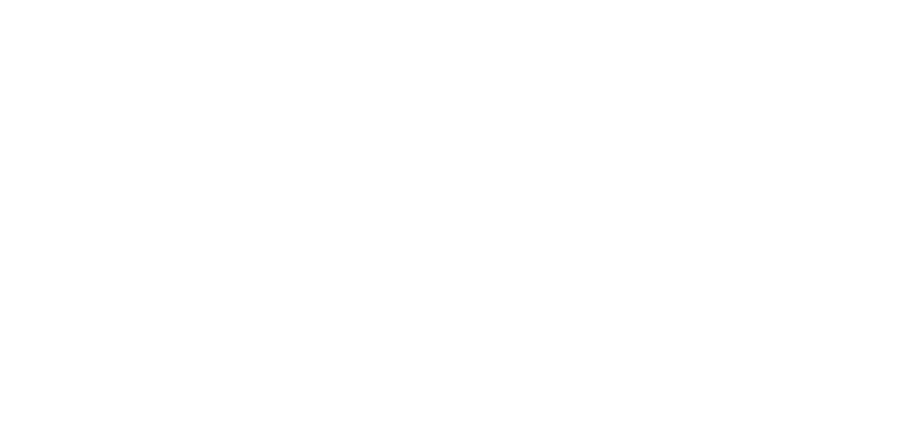 Z.ai